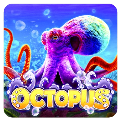 Octopus